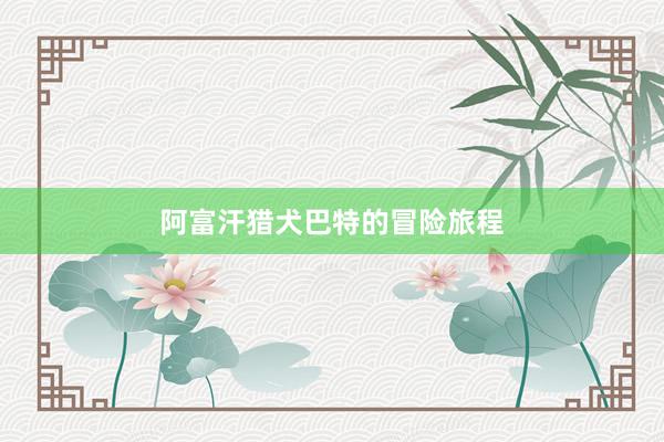 阿富汗猎犬巴特的冒险旅程